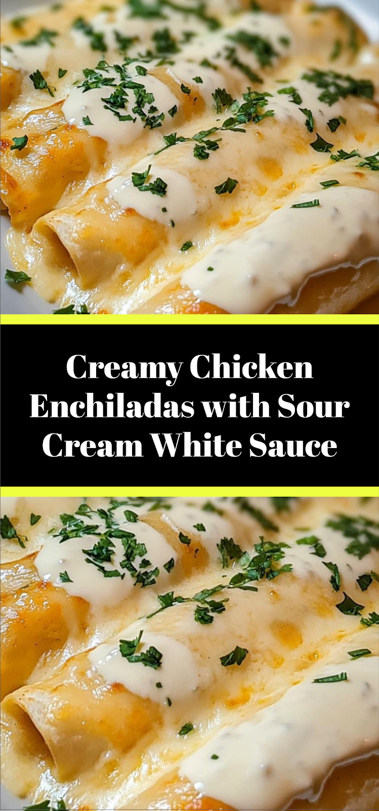 Creamy Chicken Enchiladas with Sour Cream White Sauce