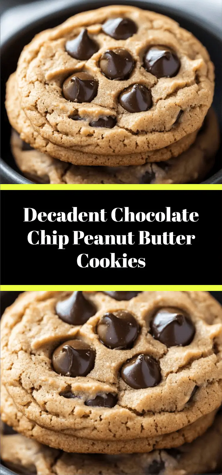 Decadent Chocolate Chip Peanut Butter Cookies