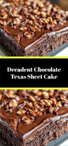 Decadent Chocolate Texas Sheet Cake