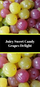 Juicy Sweet Candy Grapes Delight