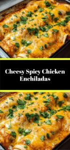 Cheesy Spicy Chicken Enchiladas